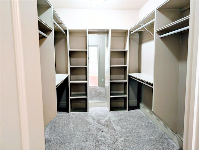 11 Mark Smith Dr, Mandeville, LA 70471 - walk in closet with carpet