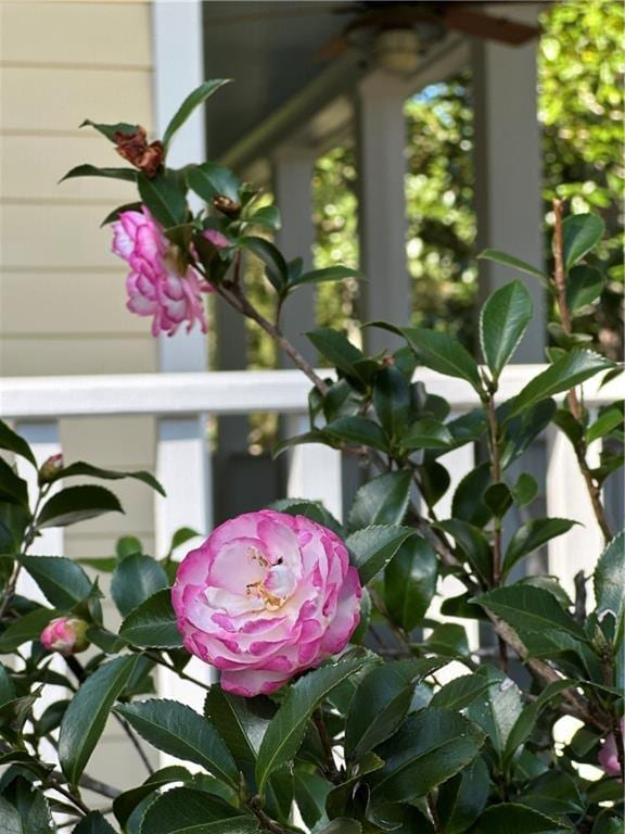 322 Copal St, Mandeville, LA 70448 - photo 42