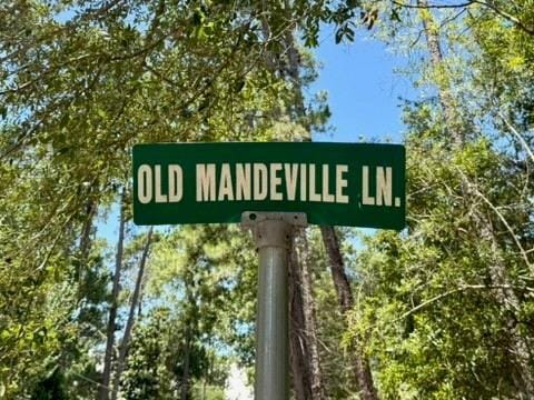 LOT2 Old Mandeville Ln, Mandeville, LA 70448 - photo 1