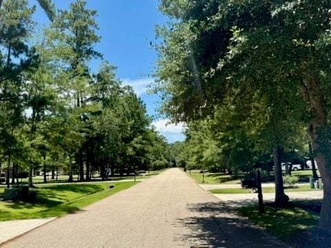 LOT2 Old Mandeville Ln, Mandeville, LA 70448 - photo 4