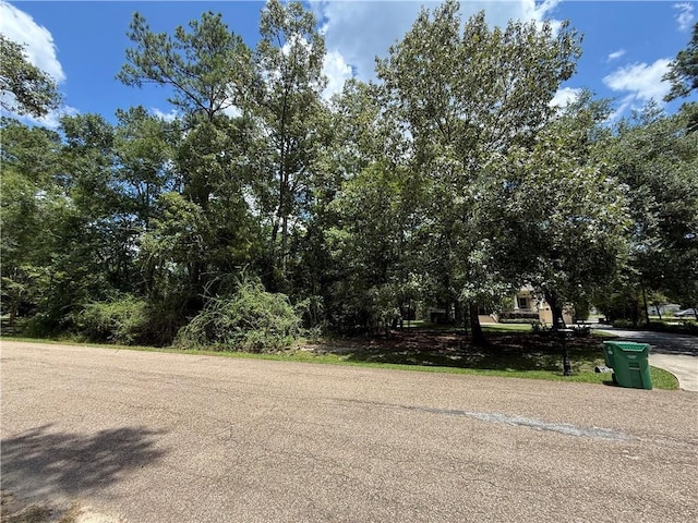 LOT2 Old Mandeville Ln, Mandeville, LA 70448 - photo 7