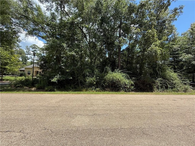 LOT2 Old Mandeville Ln, Mandeville, LA 70448 - photo 10
