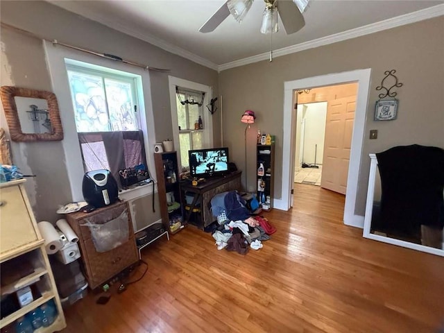 808 Iberia St, Franklin, LA 70538 - photo 43