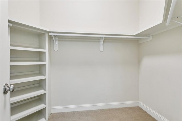 1217 N Starrett Rd, Metairie, LA 70003 - spacious closet featuring carpet floors