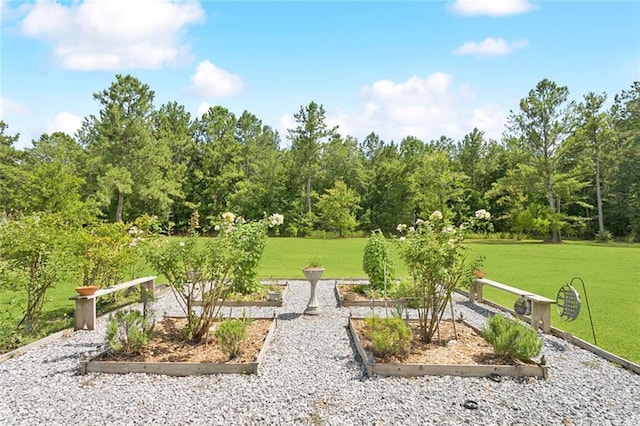 28492 Elmer Dr, Bush, LA 70431 - photo 18