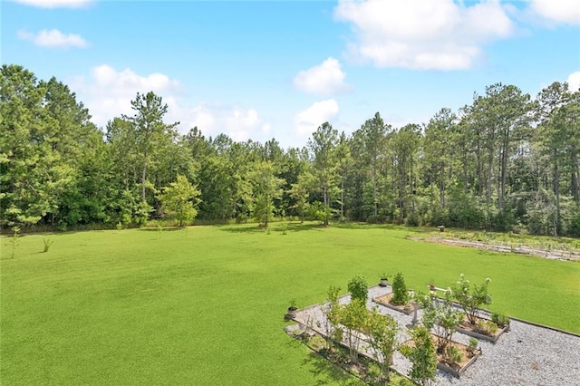 28492 Elmer Dr, Bush, LA 70431 - photo 19
