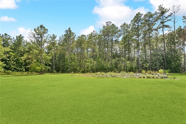 28492 Elmer Dr, Bush, LA 70431 - photo 21