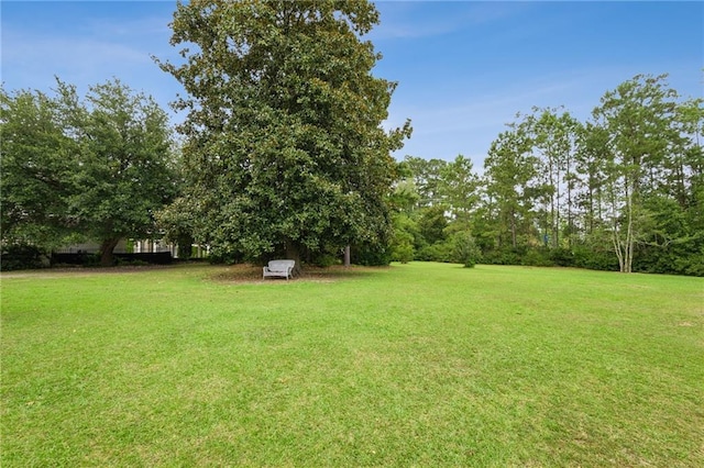 830 S Madison St, Covington, LA 70433 - photo 6