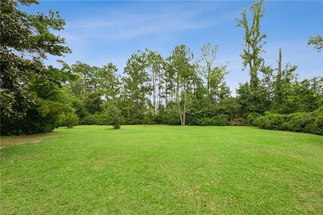 830 S Madison St, Covington, LA 70433 - photo 7