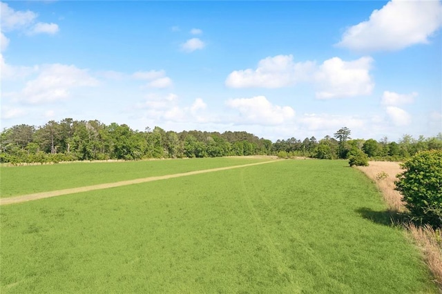 13095 Joiner Rd, Folsom, LA 70437 - photo 7