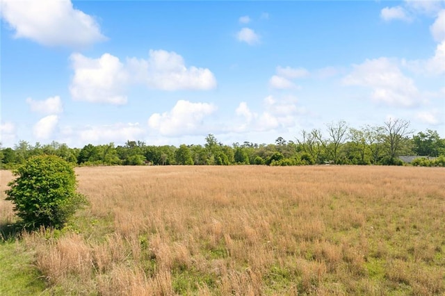 13095 Joiner Rd, Folsom, LA 70437 - photo 8