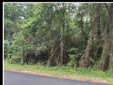 N Dogwood Dr, Covington, LA 70433 - photo 1