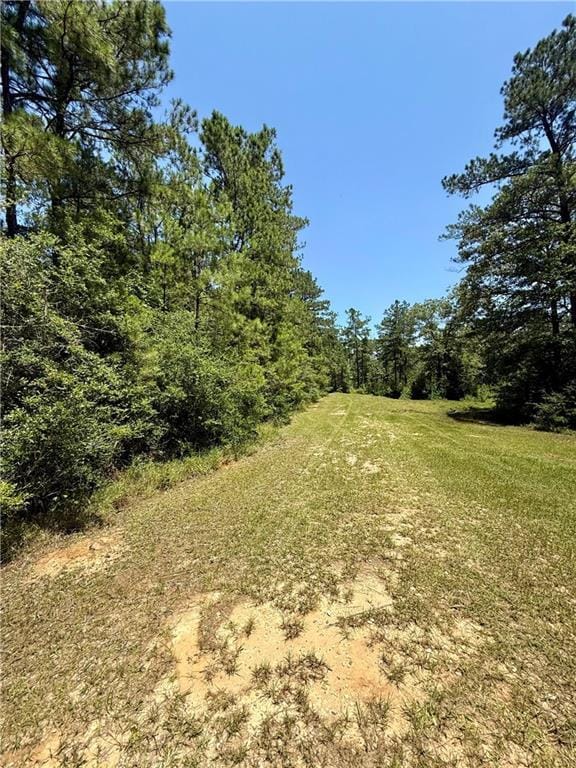 Lake Choctaw Rd, Franklinton, LA 70438 - photo 1