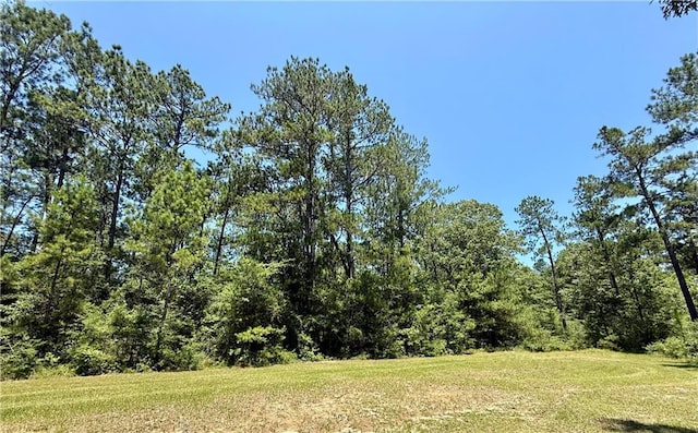 Lake Choctaw Rd, Franklinton, LA 70438 - photo 2