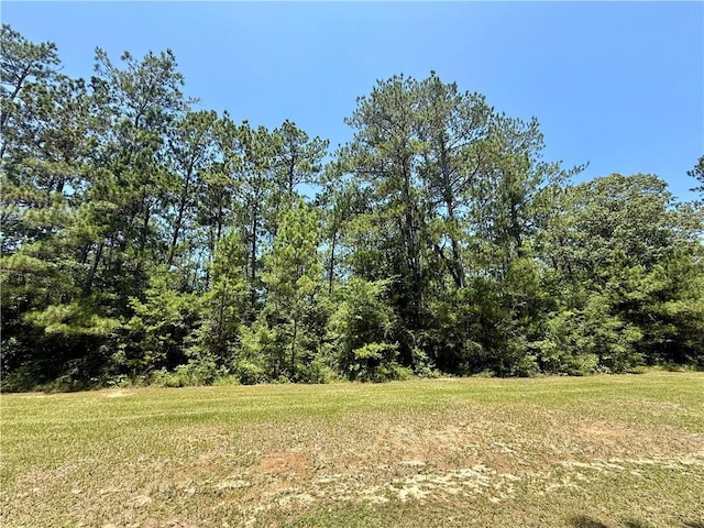 Lake Choctaw Rd, Franklinton, LA 70438 - photo 3
