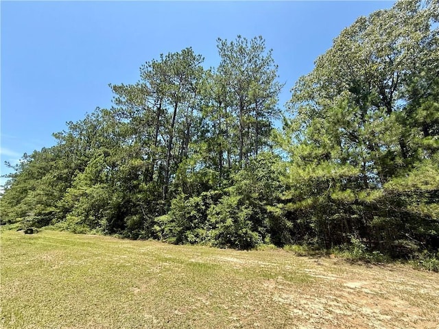 Lake Choctaw Rd, Franklinton, LA 70438 - photo 4