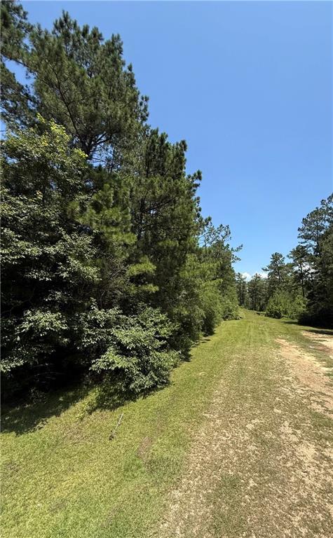 Lake Choctaw Rd, Franklinton, LA 70438 - photo 5