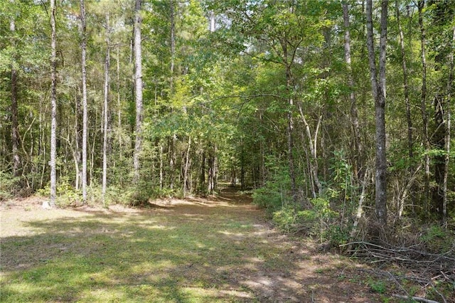 85379 House Creek Rd, Bush, LA 70431 - photo 39