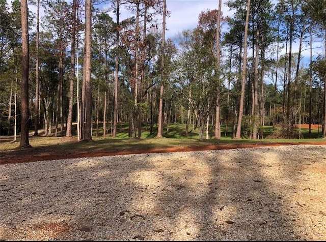 Nicaud Rd, Folsom, LA 70437 - photo 2