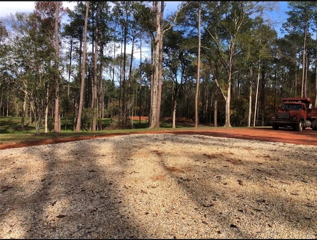 Nicaud Rd, Folsom, LA 70437 - photo 4