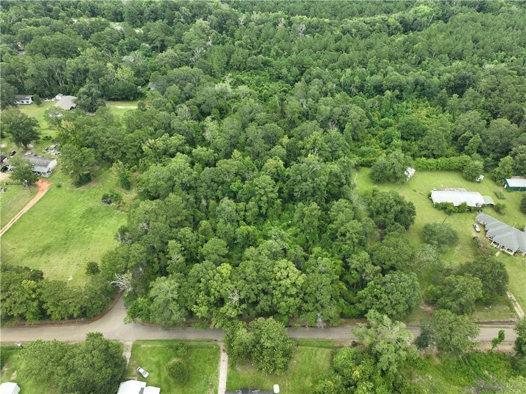 TBD Cason Rd, Independence, LA 70443 - photo 1