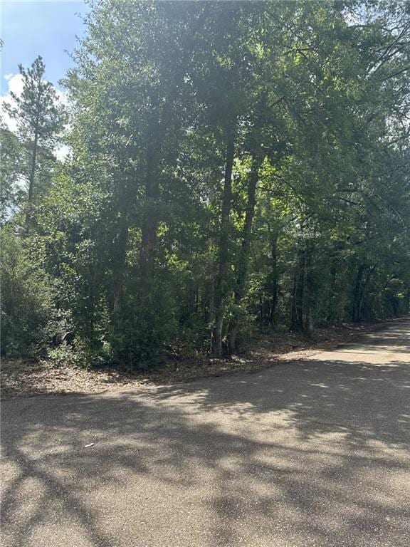 TBD Cason Rd, Independence, LA 70443 - photo 3