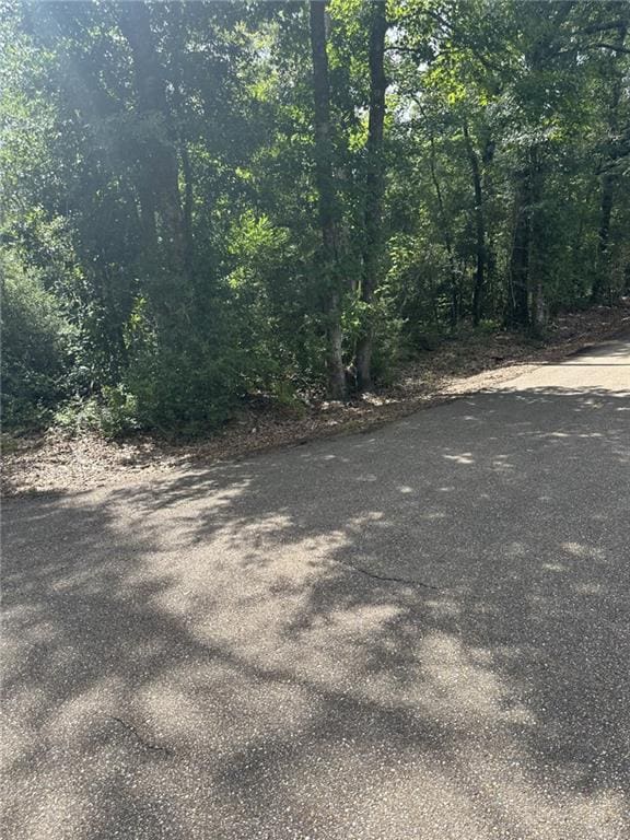TBD Cason Rd, Independence, LA 70443 - photo 4