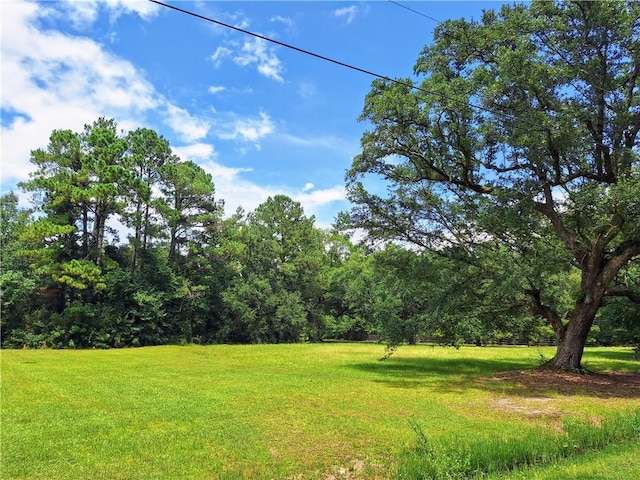 Louand Rd, Lacombe, LA 70445 - photo 1
