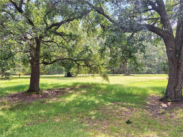 Louand Rd, Lacombe, LA 70445 - photo 3