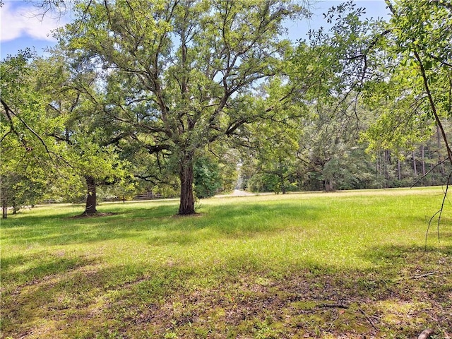 Louand Rd, Lacombe, LA 70445 - photo 4