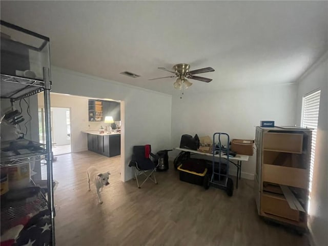 4631 Alba Rd, New Orleans, LA 70119 - photo 8