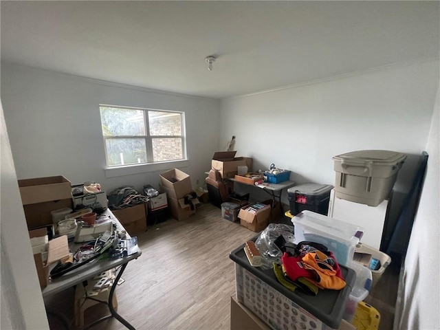 4631 Alba Rd, New Orleans, LA 70119 - photo 20