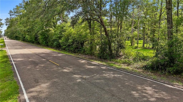 39462 Lees Landing Rd, Ponchatoula, LA 70454 - photo 11