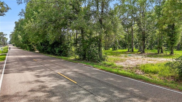 39462 Lees Landing Rd, Ponchatoula, LA 70454 - photo 12