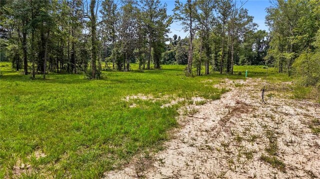 39520 Lees Landing Rd, Ponchatoula, LA 70454 - photo 9