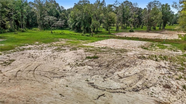 39548 Lees Landing Rd, Ponchatoula, LA 70454 - photo 2