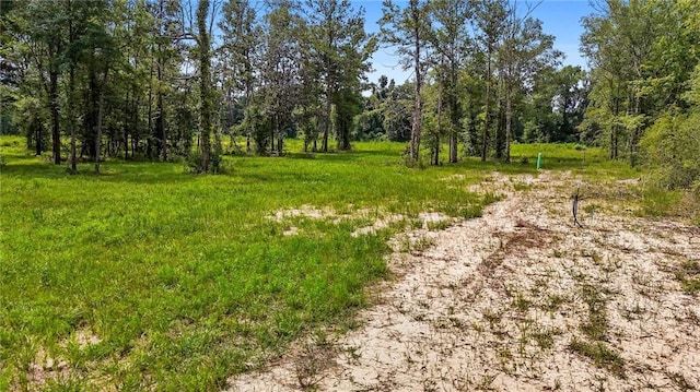 39548 Lees Landing Rd, Ponchatoula, LA 70454 - photo 4