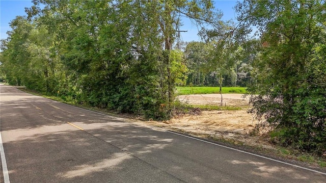 39548 Lees Landing Rd, Ponchatoula, LA 70454 - photo 5