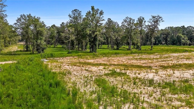 39548 Lees Landing Rd, Ponchatoula, LA 70454 - photo 6