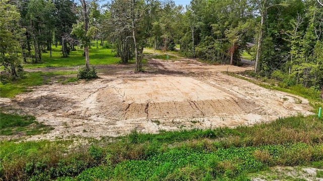 39548 Lees Landing Rd, Ponchatoula, LA 70454 - photo 7