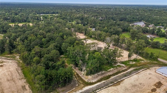39548 Lees Landing Rd, Ponchatoula, LA 70454 - photo 11