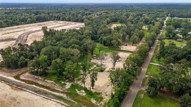 39560 Lees Landing Rd, Ponchatoula, LA 70454 - photo 8