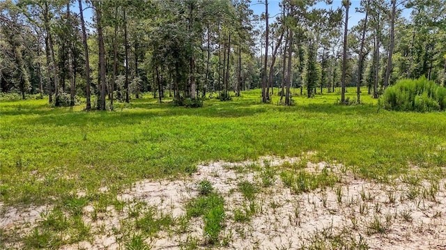 39570 Lees Landing Rd, Ponchatoula, LA 70454 - photo 10