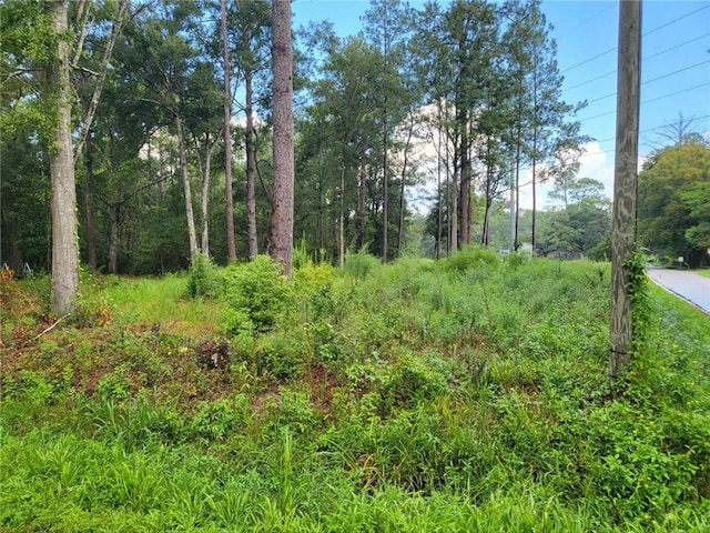 Slidell Ave, Slidell, LA 70460 - photo 2