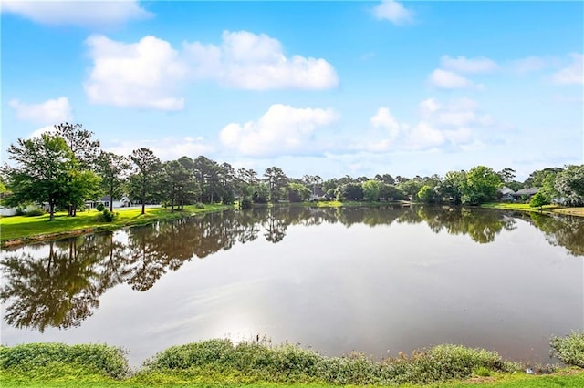 2029 W Ridge Dr, Mandeville, LA 70448 - photo 30