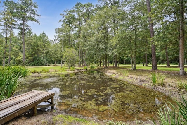 80082 Woodland Dr, Bush, LA 70431 - photo 30