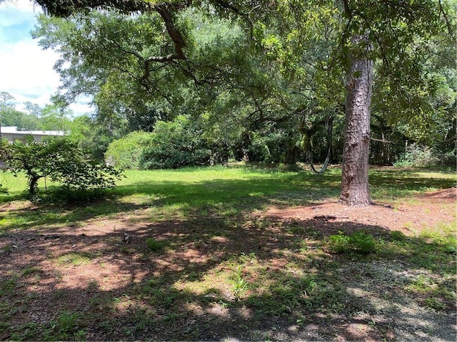 35595 Garden Dr, Slidell, LA 70460 - photo 4