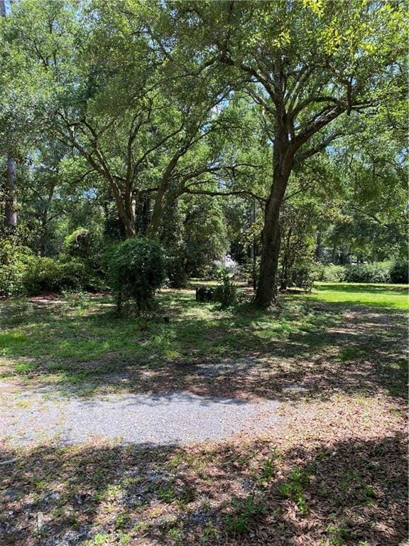 35595 Garden Dr, Slidell, LA 70460 - photo 5