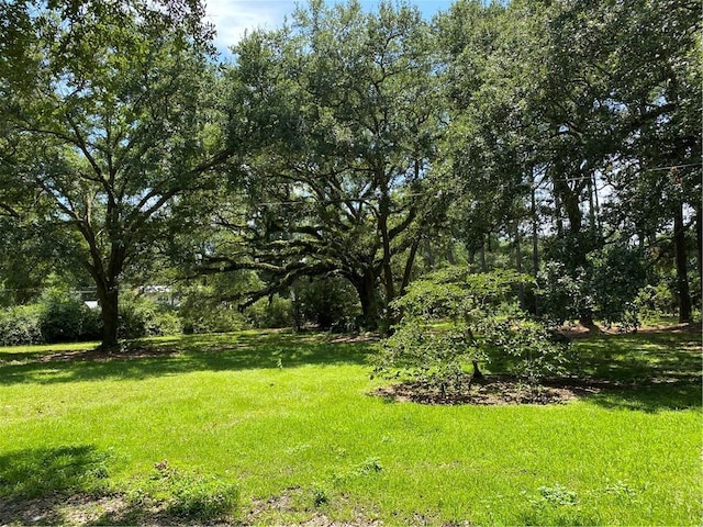 35595 Garden Dr, Slidell, LA 70460 - photo 6