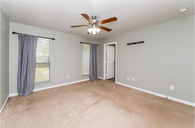 22238 Fen St, Ponchatoula, LA 70454 - photo 13